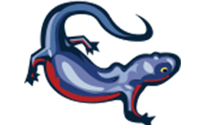Press outlet logo